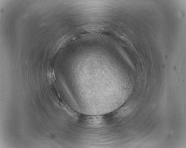 X0000078230288200611171441