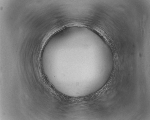 X0000078230289200611171440