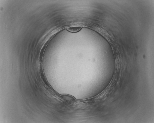 X0000078230290200611171440