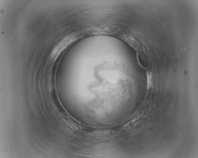 X0000078230291200611171440