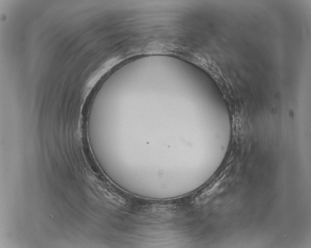 X0000078230292200611171440