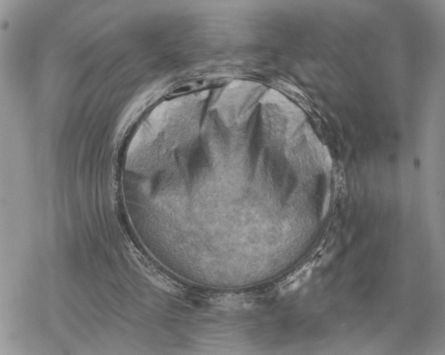 X0000078230293200611171440