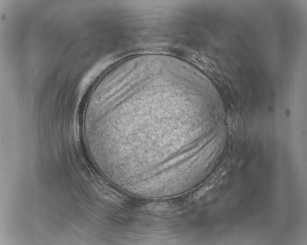 X0000078230294200611171440