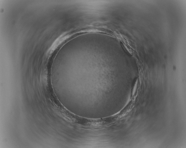 X0000078230295200611171440