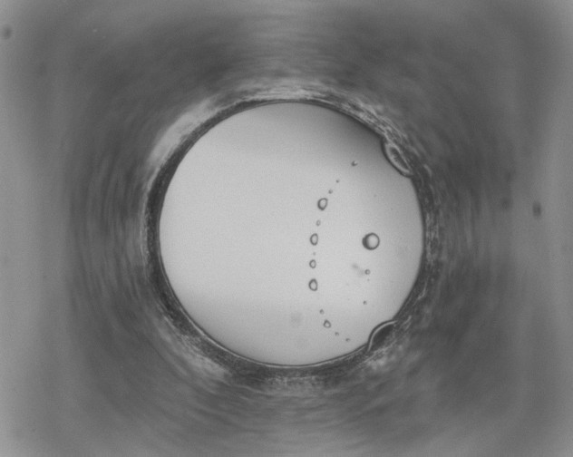 X0000078230296200611171440