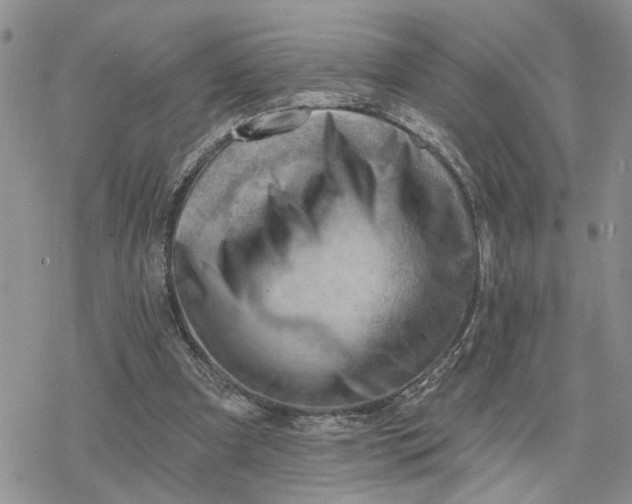 X0000078230297200611171440