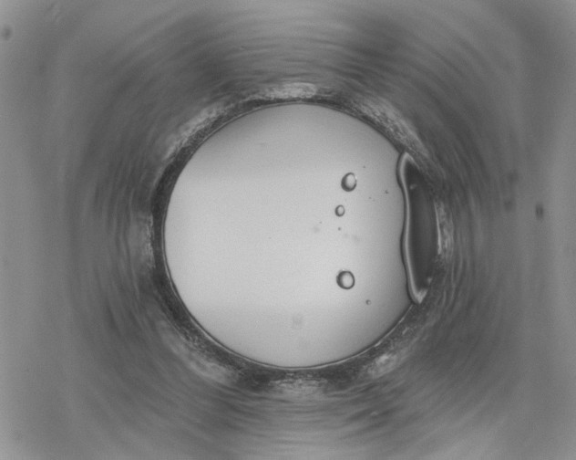 X0000078230300200611171440