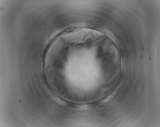 X0000078230301200611171440