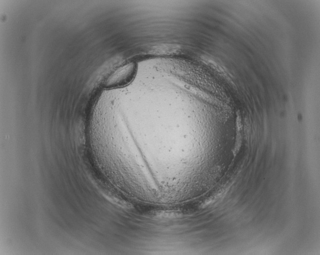 X0000078230303200611171440