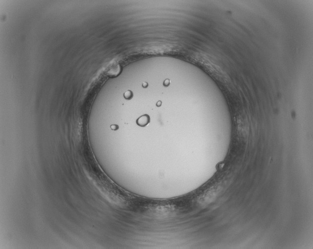 X0000078230304200611171440