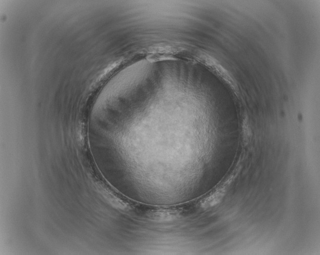 X0000078230305200611171440