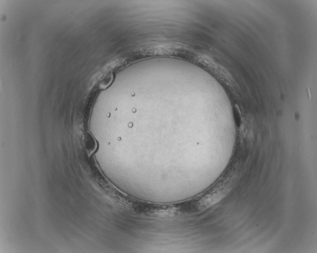 X0000078230306200611171440