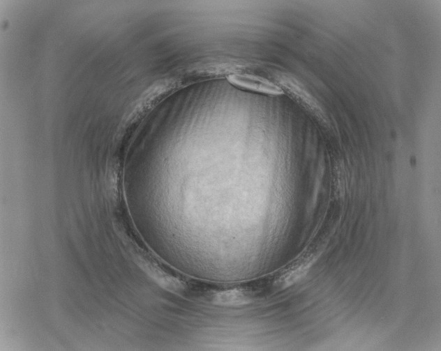 X0000078230309200611171440