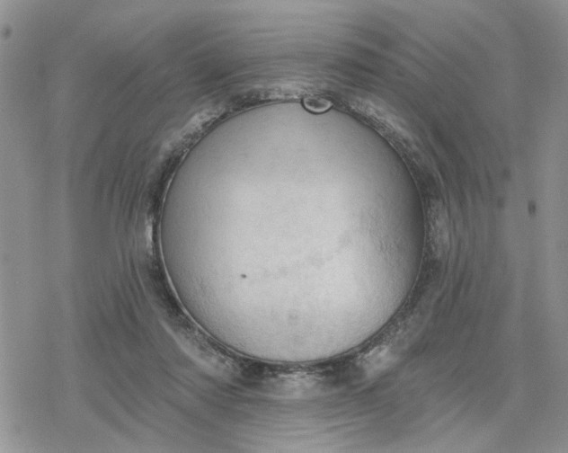 X0000078230310200611171440