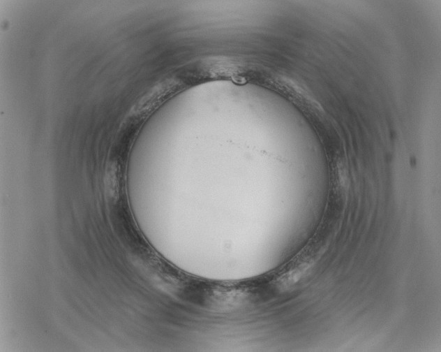 X0000078230311200611171440