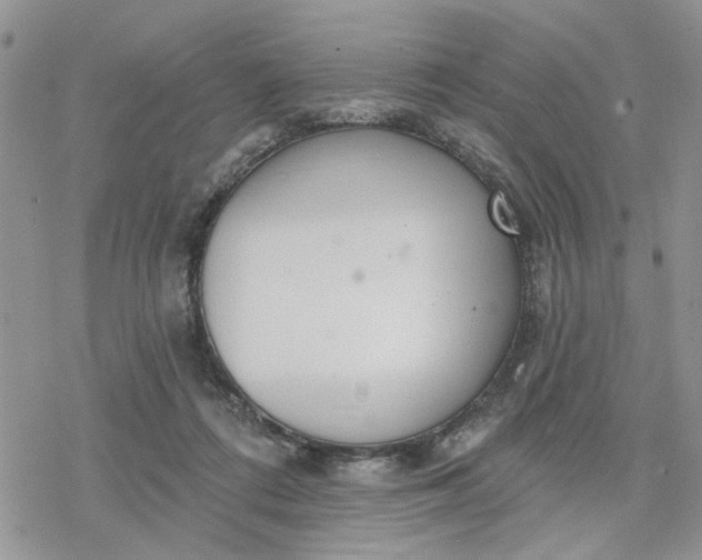 X0000078230312200611171440