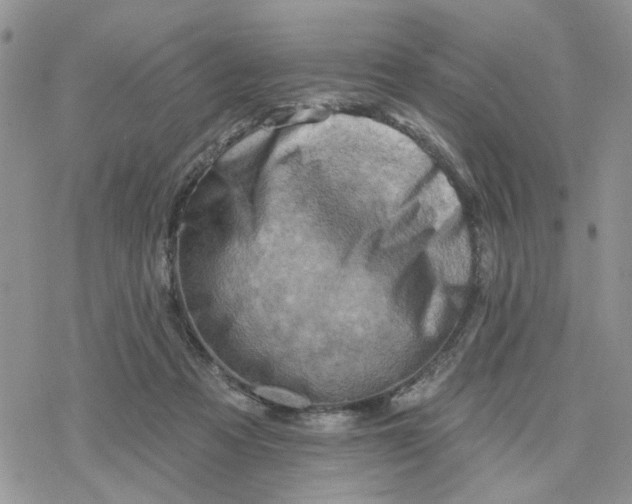 X0000078230313200611171440