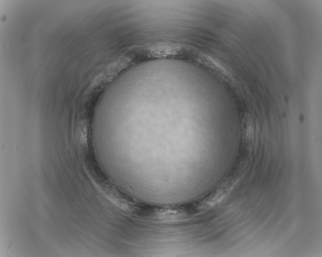 X0000078230315200611171440