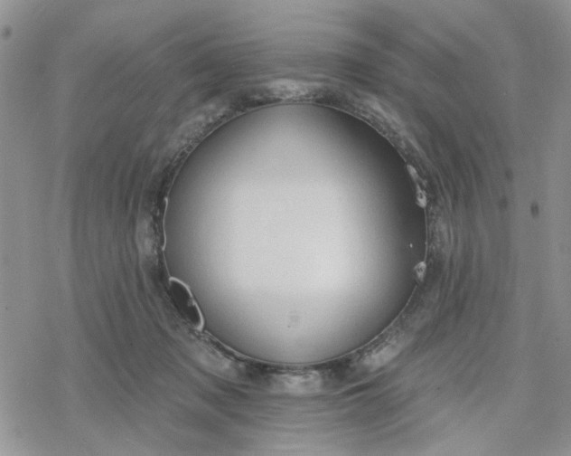 X0000078230317200611171440