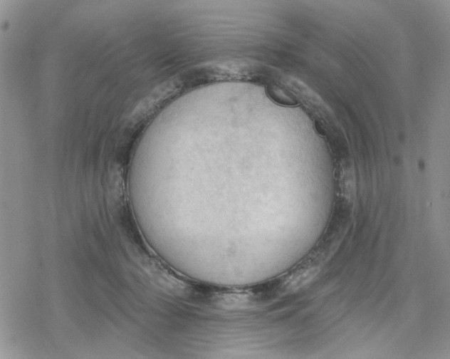 X0000078230318200611171440