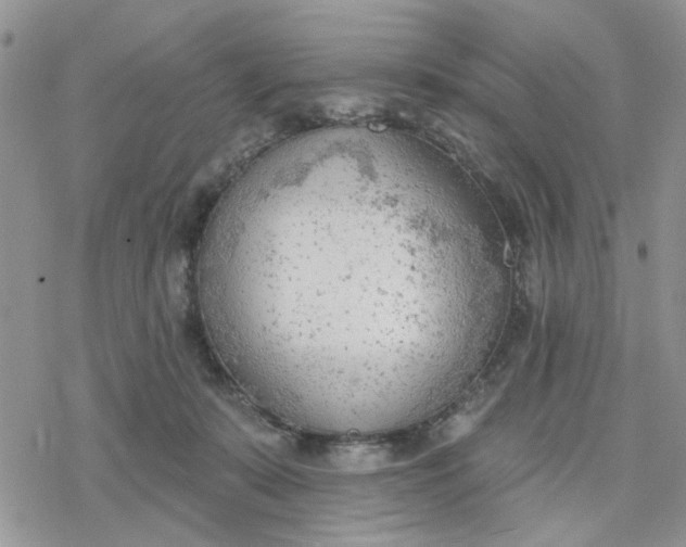 X0000078230319200611171440