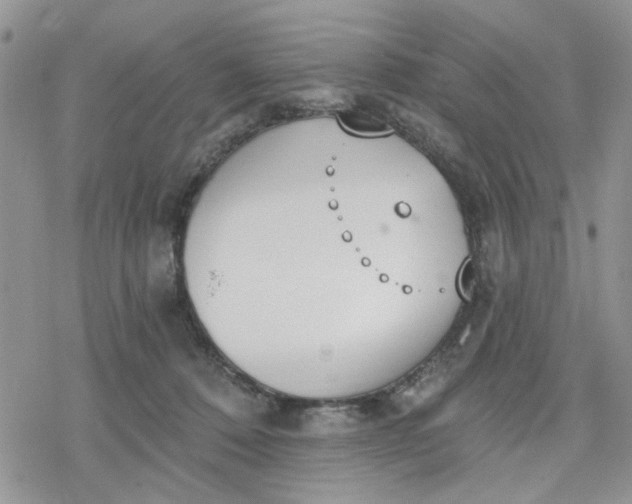 X0000078230320200611171440