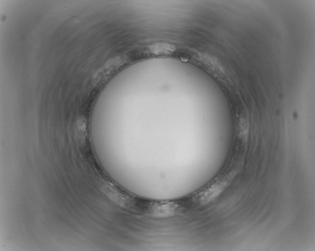 X0000078230321200611171440