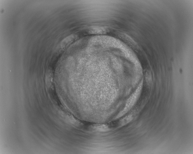 X0000078230322200611171440