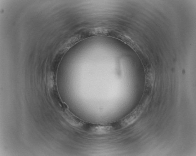 X0000078230323200611171440