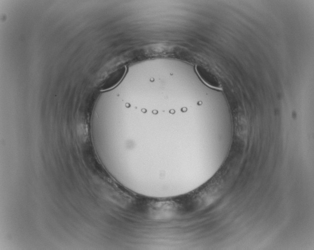 X0000078230324200611171440