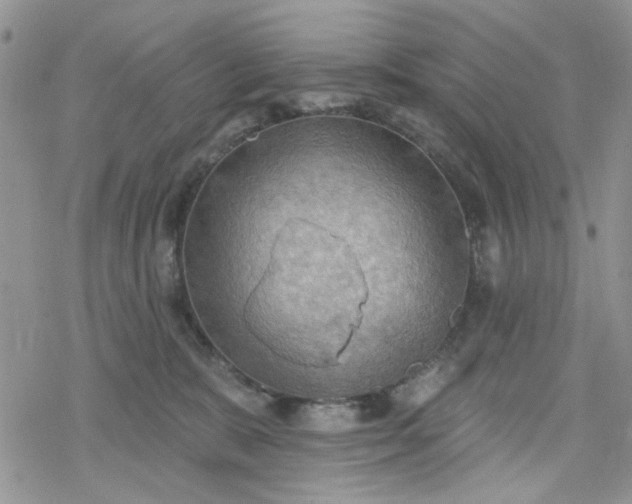 X0000078230327200611171440