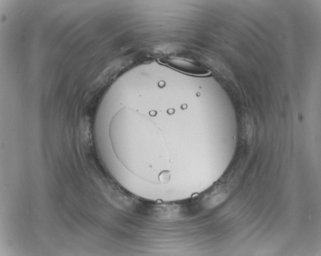 X0000078230328200611171440