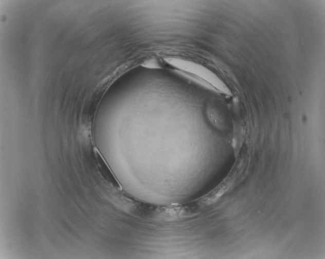 X0000078230329200611171440