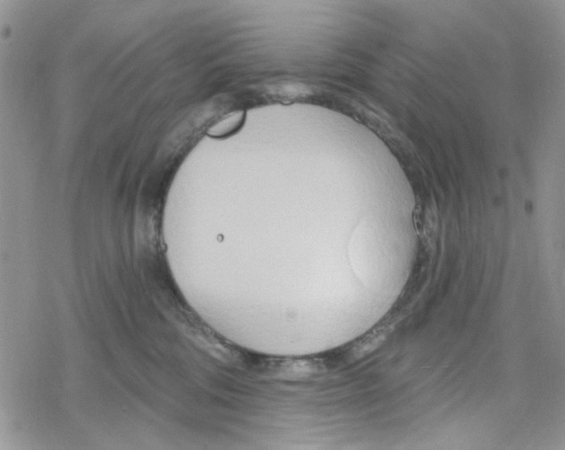 X0000078230330200611171440