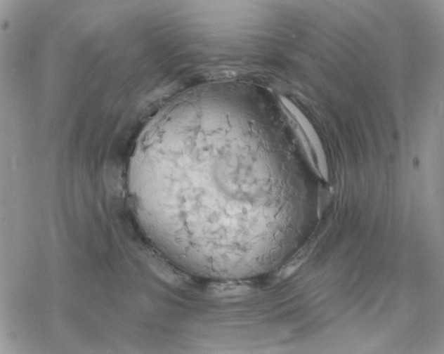 X0000078230331200611171440