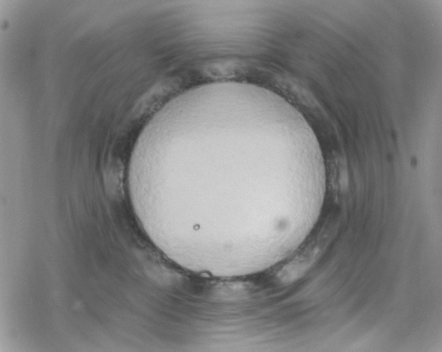 X0000078230332200611171440