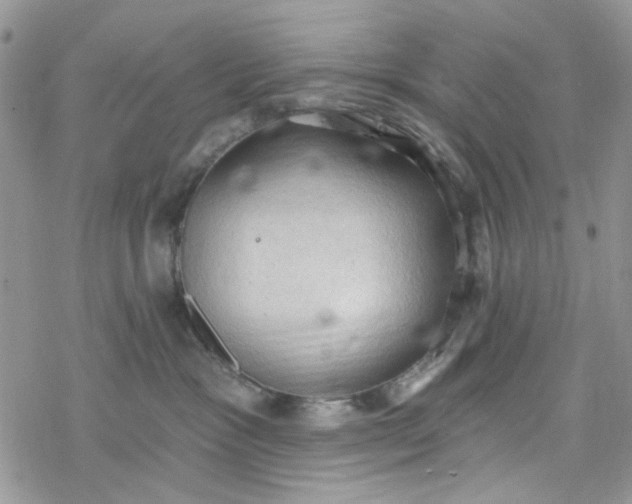 X0000078230333200611171440