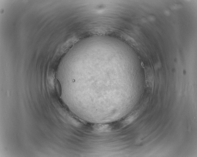 X0000078230334200611171440