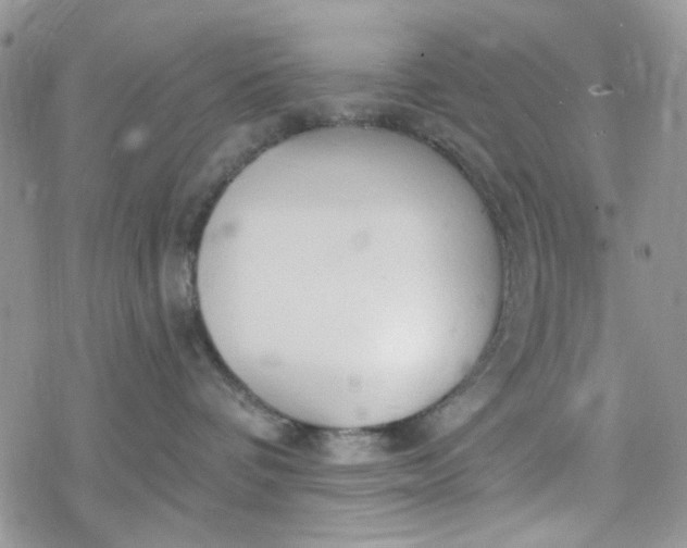 X0000078230336200611171440