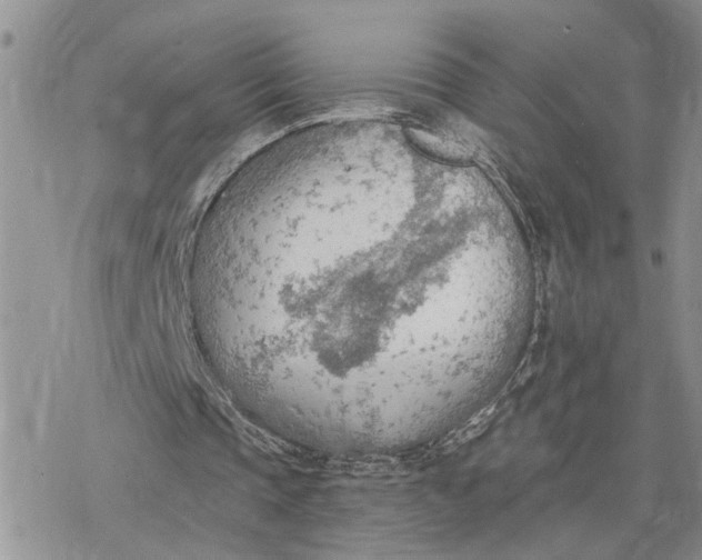 X0000078230337200611171439