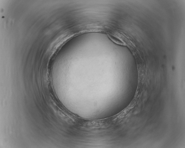 X0000078230338200611171439