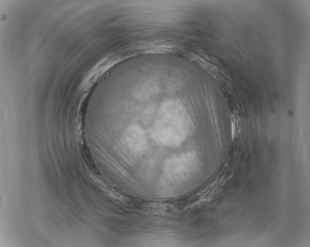 X0000078230339200611171439