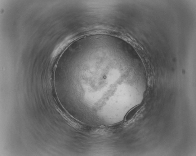 X0000078230341200611171439