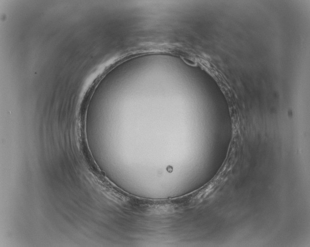 X0000078230342200611171439