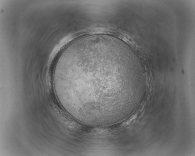 X0000078230343200611171439