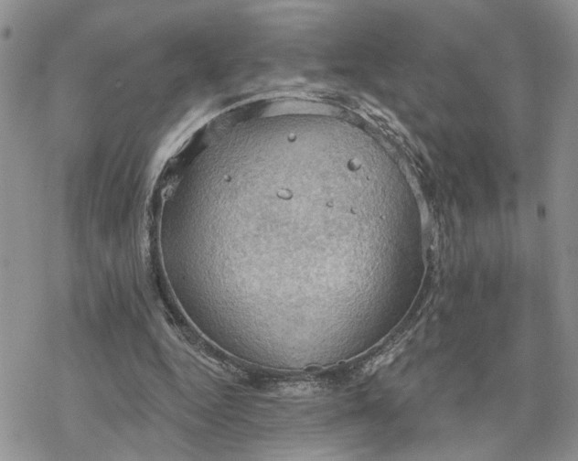 X0000078230344200611171439