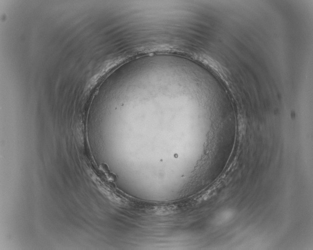 X0000078230345200611171439