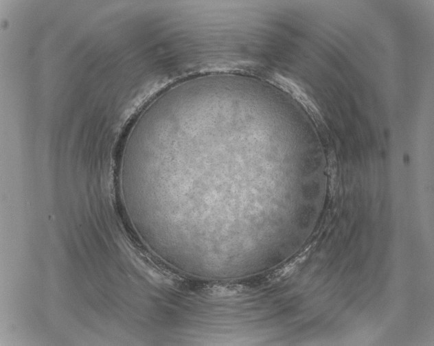 X0000078230346200611171439