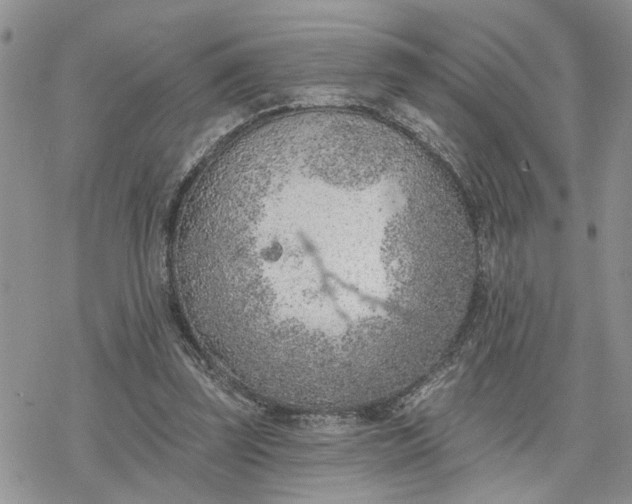 X0000078230347200611171439