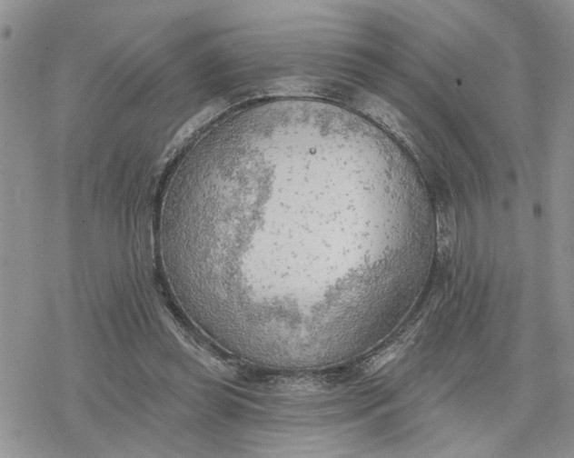 X0000078230349200611171439